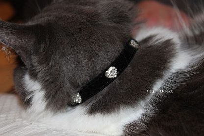 Black Velvet diamante heart cat and kitten safety collar