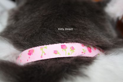 Handmade rose fabric cat and kitten safety collar 3
