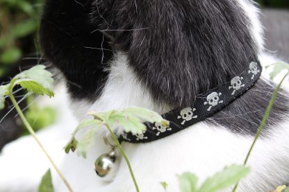 Skull and Crossbones Cat Safety Collar Black