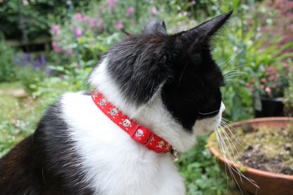 Skull and Crossbones Cat Safety Collar Red