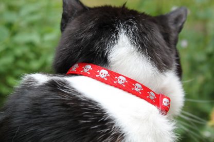 Skull and Crossbones Cat Safety Collar Red