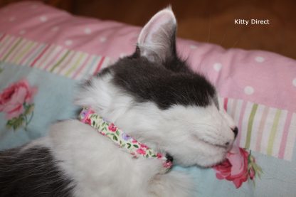 Handmade Cotton Pink Flower Cat and Kitten Collar
