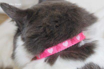 Handmade fabric hearts cat and kitten safety collar 11