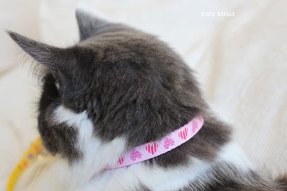 Handmade fabric hearts cat and kitten safety collar 10