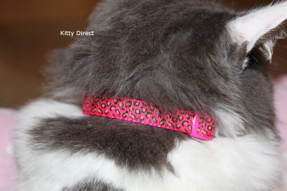 Leopard Print Safety Cat/Kitten Collar Pink