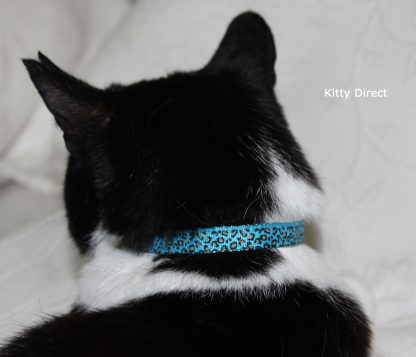 Leopard Print Safety Cat/Kitten Collar Blue