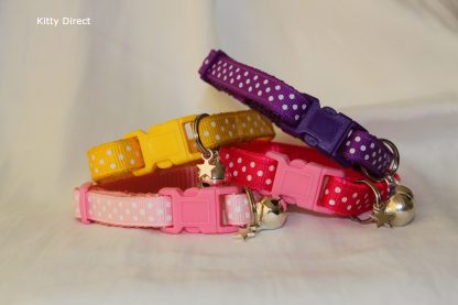 Handmade kitten and cat collar polka dot