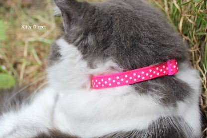 Handmade polka dot cat and kitten collar Pink_2