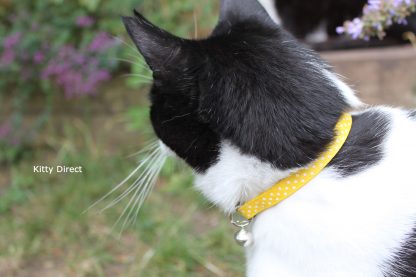 Handmade polka dot cat and kitten collar Yellow_3