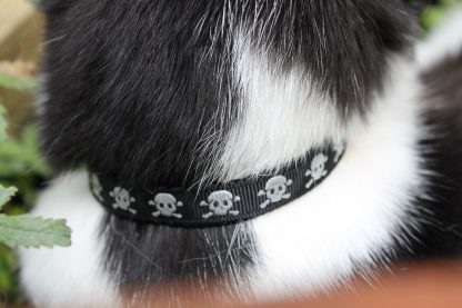 Skull and Crossbones Safety Cat Collar Black