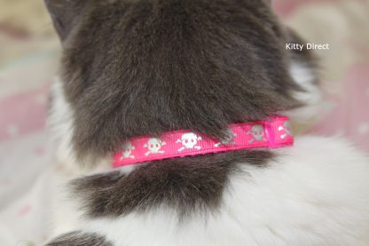 Skull and crossbones cat kitten safety collar Pink