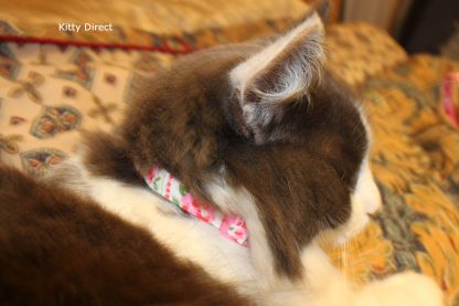 Handmade Cath Kidston Cotton Cat Kitten Safety Collar_4