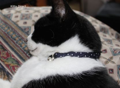 Handmade Cotton Tiny Stars Cat Kitten Safety Collar_Blue 4