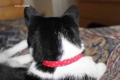 Handmade Cotton Tiny Stars Cat Kitten Safety Collar_ Red 5