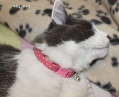 Handmade Cotton Tiny Stars Cat Kitten Safety Collar_Pink 4