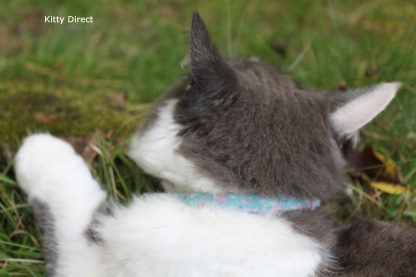 Handmade floral green cat kitten safety collar_6