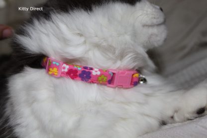 Daisy flower kitten and cat collar 8