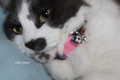 Daisy flower kitten and cat collar 12