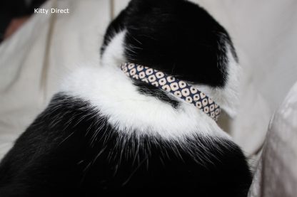 Handmade Designer Cat and Kitten Safety collar 7