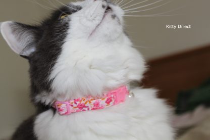 Handmade cotton cat and kitten collar floral pink_3