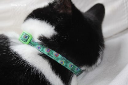 Peacock Green Cat Kitten Safety Collar_4