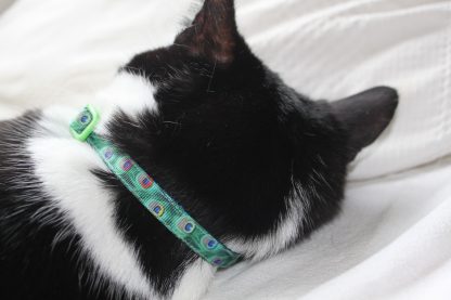 Peacock Green Cat Kitten Safety Collar_3