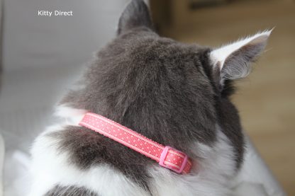 Handmade Stars Fabric Cat Kitten Safety Collar_pink1