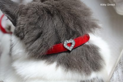 Handmade velvet diamante cat kitten safety collar_red