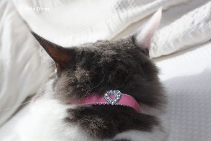 Handmade velvet diamante cat kitten safety collar_Pink 1