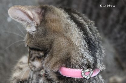 Handmade velvet diamante cat kitten safety collar_Pink 2