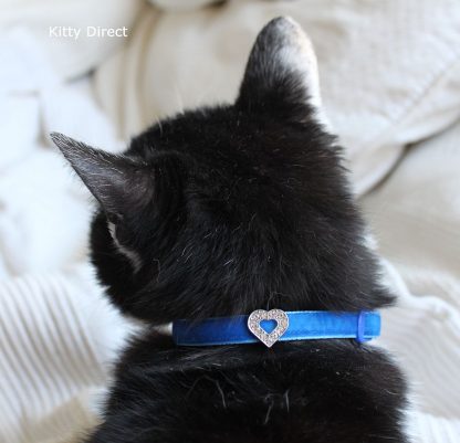 Handmade velvet diamante cat kitten safety collar_blue 1