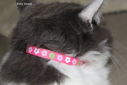 Daisy print flower fabric cat kitten safety collar pink_5