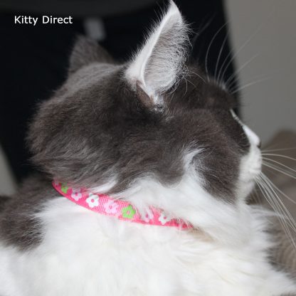 Daisy print flower fabric cat kitten safety collar pink_6