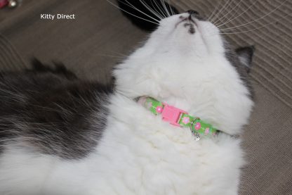 Daisy print flower fabric cat kitten safety collar green_2