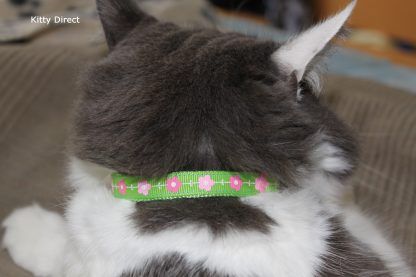 Daisy print flower fabric cat kitten safety collar green_1