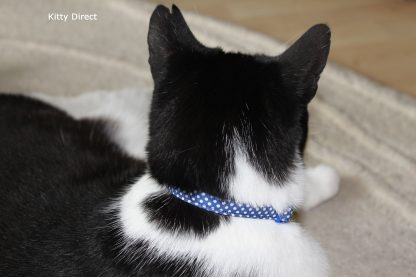 Handmade Polka Dot Cotton Cat Kitten Safety Collars_Blue4