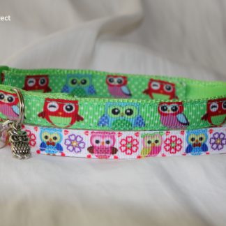 Owl Pussycat Cat Kitten Safety Collar