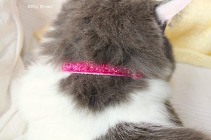 Christmas Xmas Glitter Cat Kitten Safety Collar, Bell, Christmas Charm_2