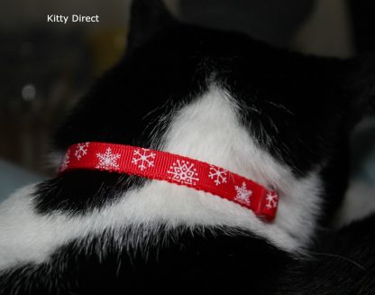 Christmas Cat Kitten Safety Collar, Bell, Christmas Charm_11