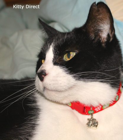 Christmas Cat Kitten Safety Collar, Bell, Christmas Charm