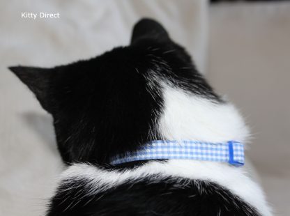 Handmade blue gingham cat kitten collar_3