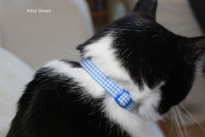 Handmade blue gingham cat kitten collar_4