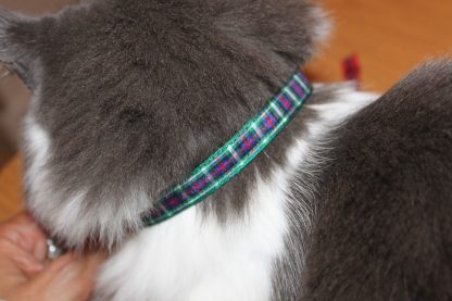 Scottish_Tartan_Green_Plaid Cat Kitten Safety Collar_4