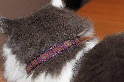 Scottish_Tartan_Plaid Cat Kitten Safety Collar_1