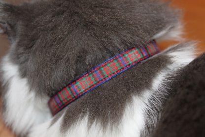 Scottish_Tartan_Plaid Cat Kitten Safety Collar_4