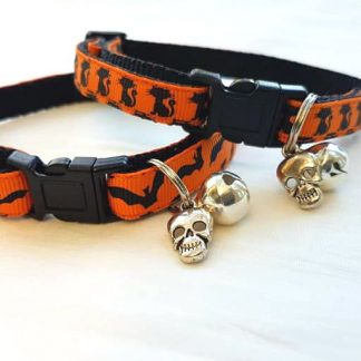 orange kitten collar