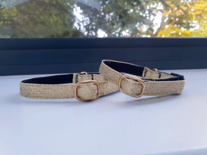 Gold cat kitten collar 1