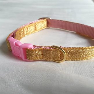 Gold cat kitten safety collar