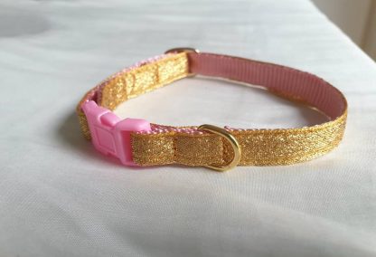 Gold cat kitten safety collar