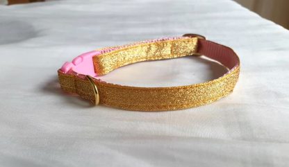 Gold cat kitten safety collar 2